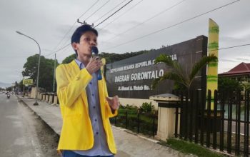 Erlin Adam