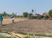 Tinjau Eks Lokasi Penas XVII, Disnakbun Provinsi Gorontalo Matangkan Rencana Pusat Pembelajaran Modern dan Agrowisata